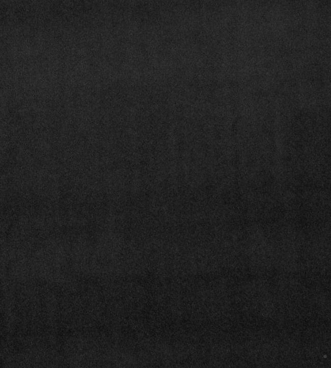 Alvar Fabric by Clarke & Clarke Ebony