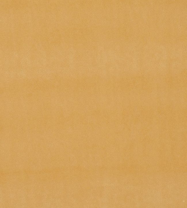 Alvar Fabric by Clarke & Clarke Gold