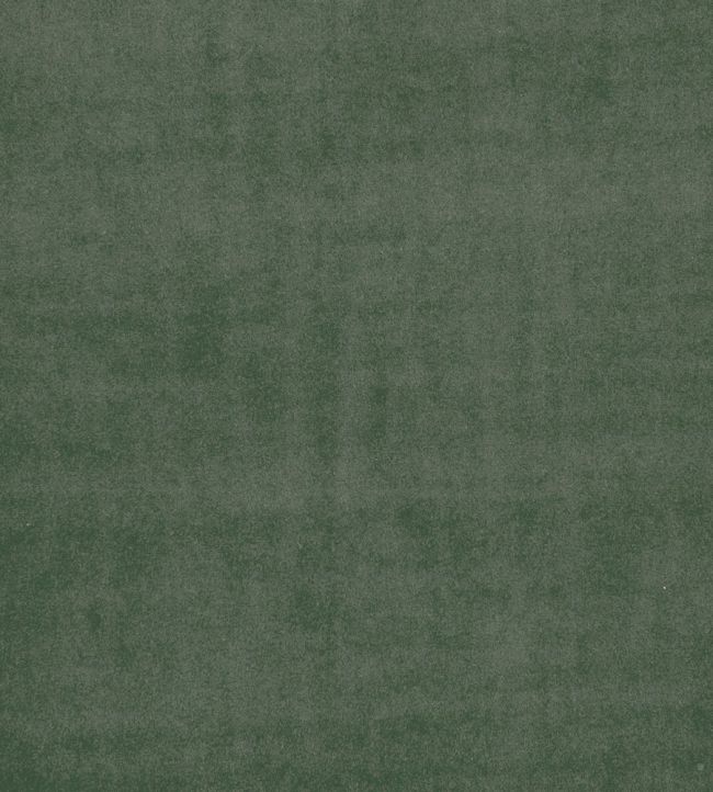 Alvar Fabric by Clarke & Clarke Herb