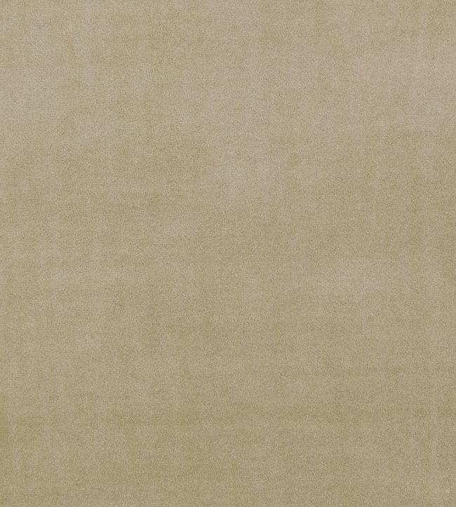 Alvar Fabric by Clarke & Clarke Lark