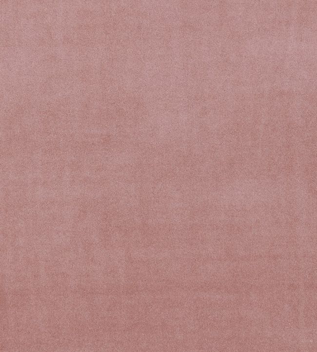 Alvar Fabric by Clarke & Clarke Rose