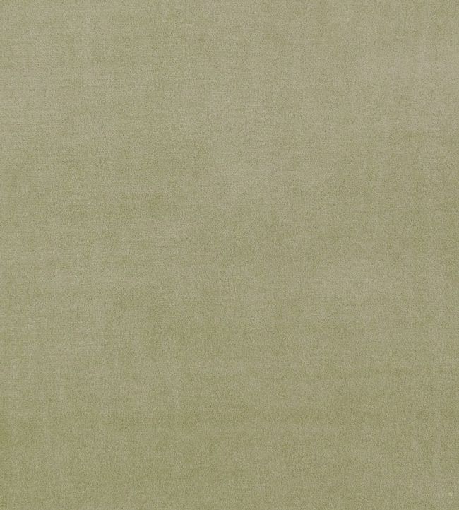Alvar Fabric by Clarke & Clarke Sage