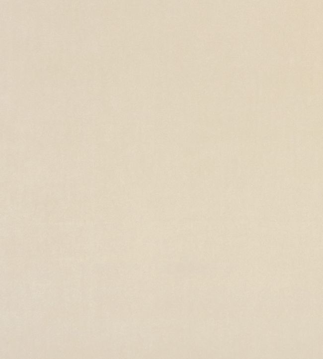 Alvar Fabric by Clarke & Clarke Buff