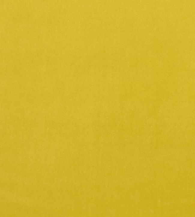 Alvar Fabric by Clarke & Clarke Chartreuse
