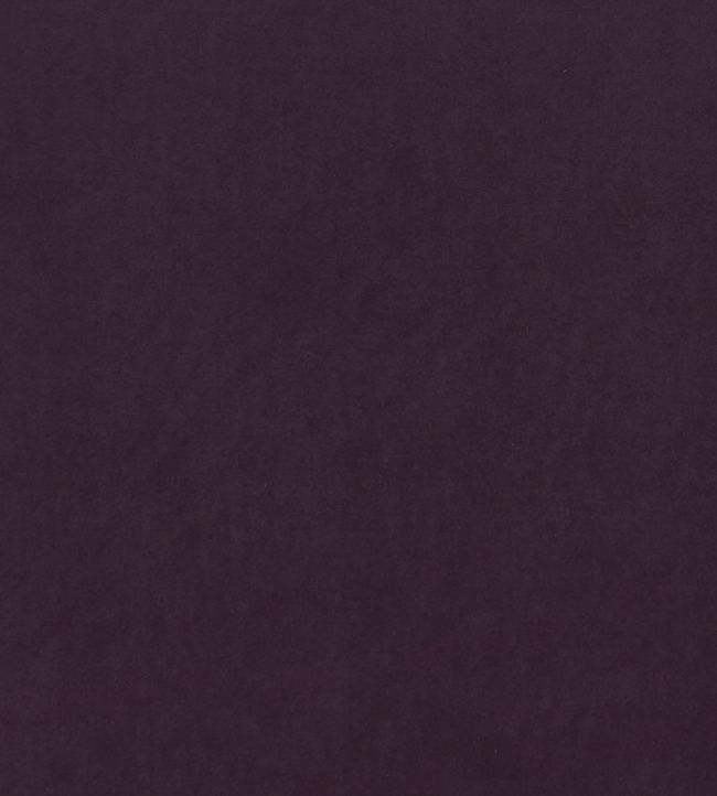 Alvar Fabric by Clarke & Clarke Damson