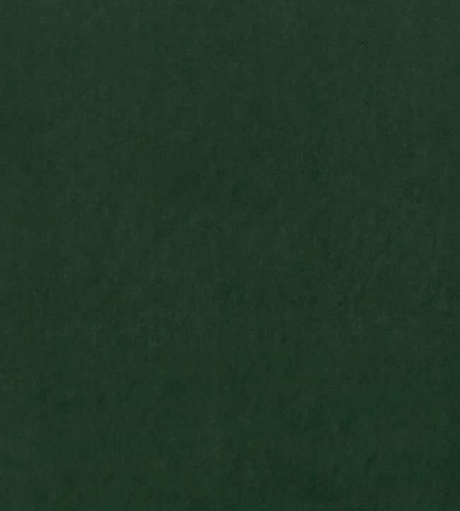 Alvar Fabric by Clarke & Clarke Emerald