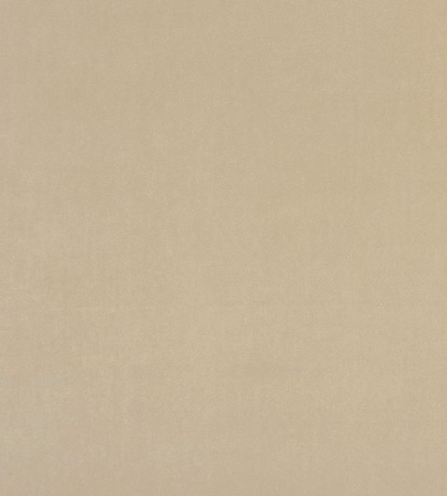 Alvar Fabric by Clarke & Clarke Flaxen