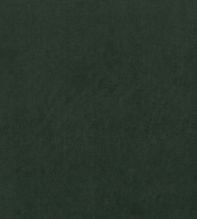 Alvar Fabric by Clarke & Clarke Forest