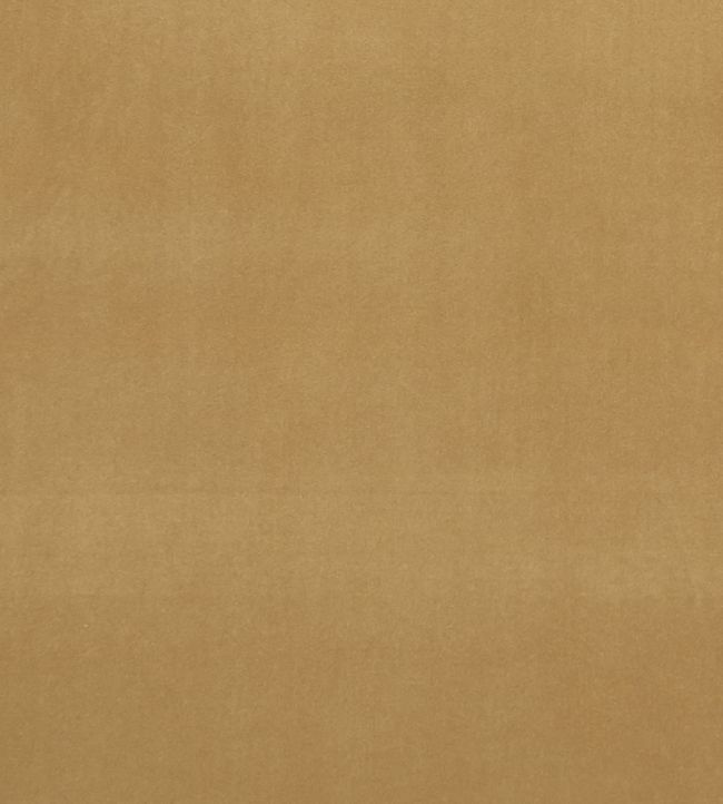 Alvar Fabric by Clarke & Clarke Harvest