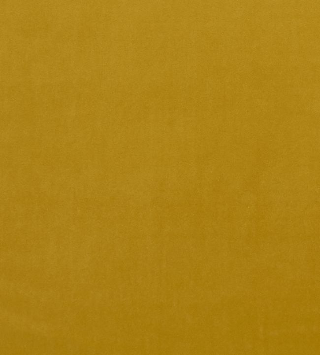 Alvar Fabric by Clarke & Clarke Honey