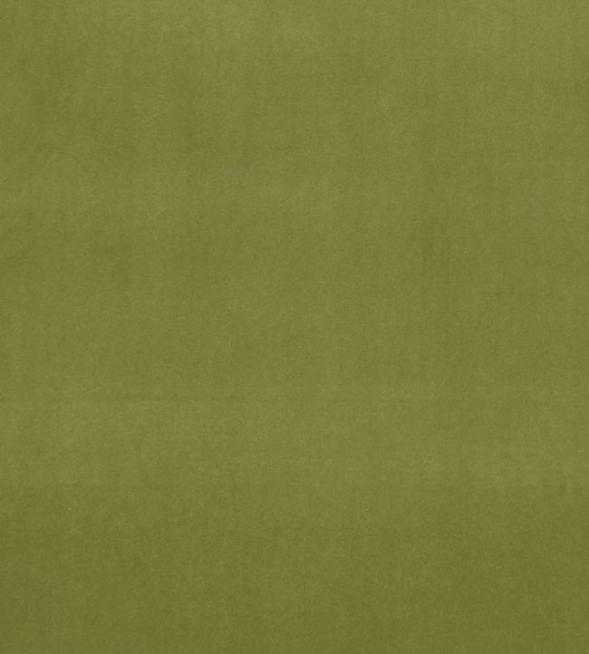 Alvar Fabric by Clarke & Clarke Leaf