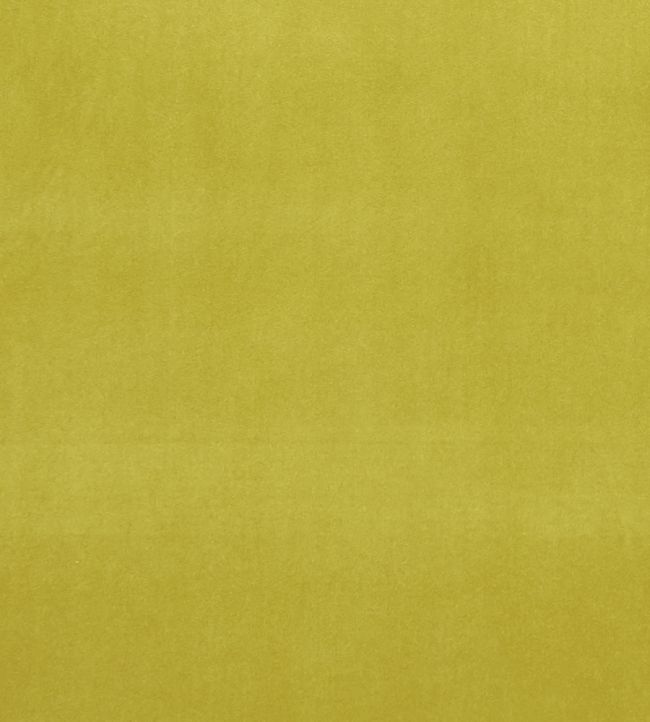 Alvar Fabric by Clarke & Clarke Lime