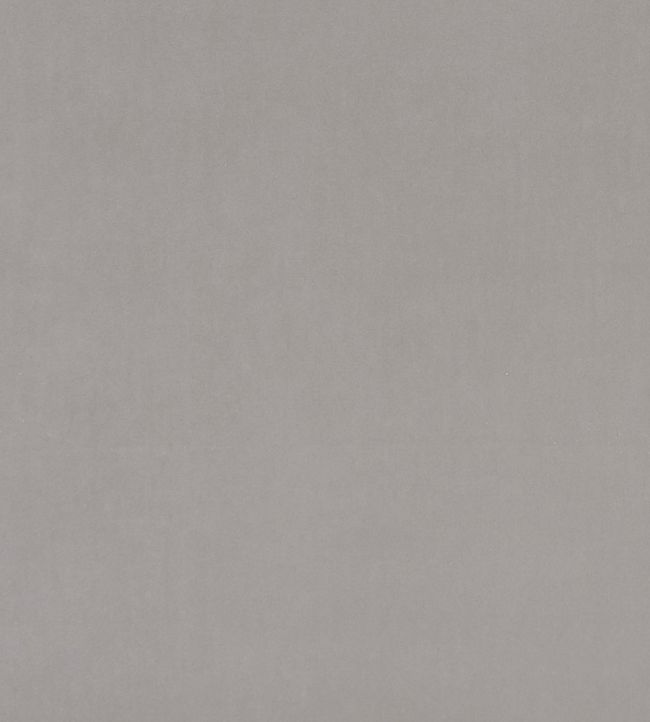 Alvar Fabric by Clarke & Clarke Mole