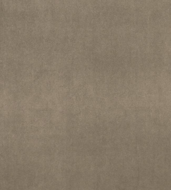 Alvar Fabric by Clarke & Clarke Oak