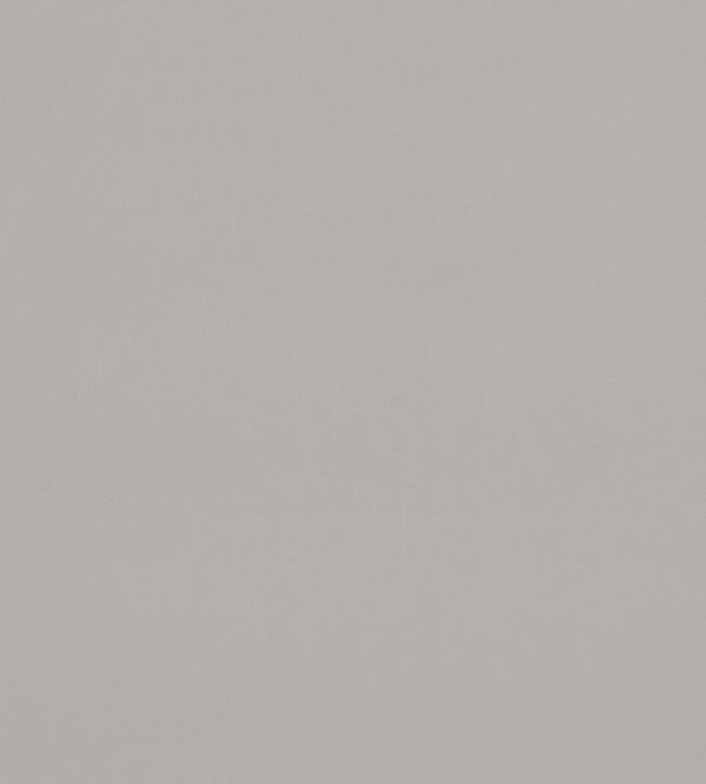 Alvar Fabric by Clarke & Clarke Pebble
