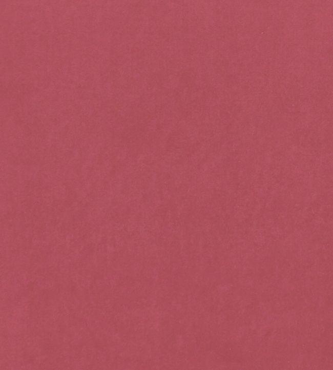 Alvar Fabric by Clarke & Clarke Peony