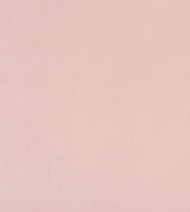 Alvar Fabric by Clarke & Clarke Petal