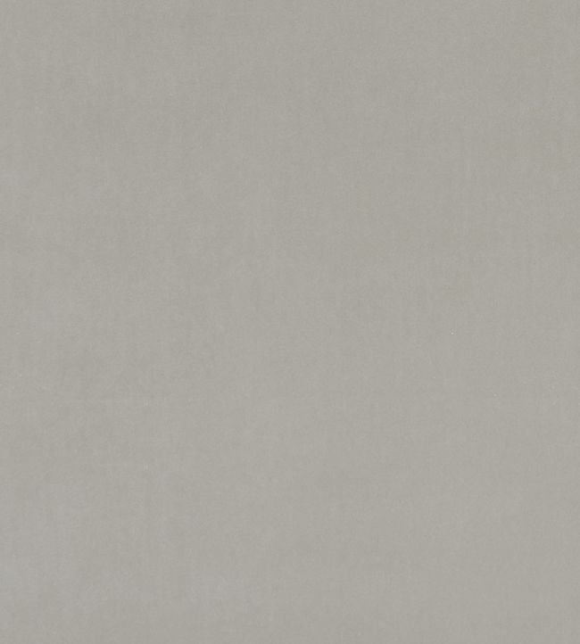 Alvar Fabric by Clarke & Clarke Roebuck