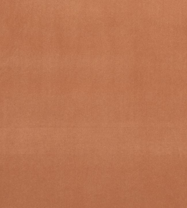Alvar Fabric by Clarke & Clarke Tamarind