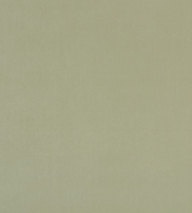 Alvar Fabric by Clarke & Clarke Thyme