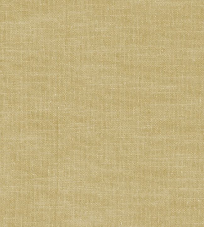 Amalfi Fabric by Clarke & Clarke Antique