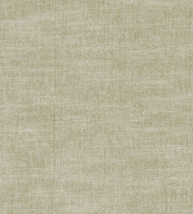 Amalfi Fabric by Clarke & Clarke Birch