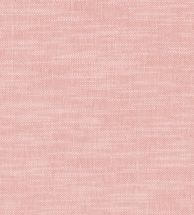 Amalfi Fabric by Clarke & Clarke Blush