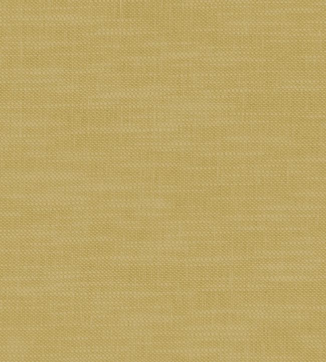 Amalfi Fabric by Clarke & Clarke Buttercup