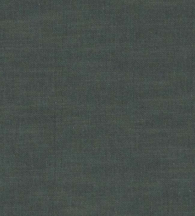 Amalfi Fabric by Clarke & Clarke Charcoal
