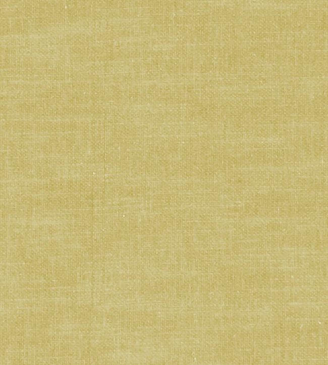 Amalfi Fabric by Clarke & Clarke Chartreuse