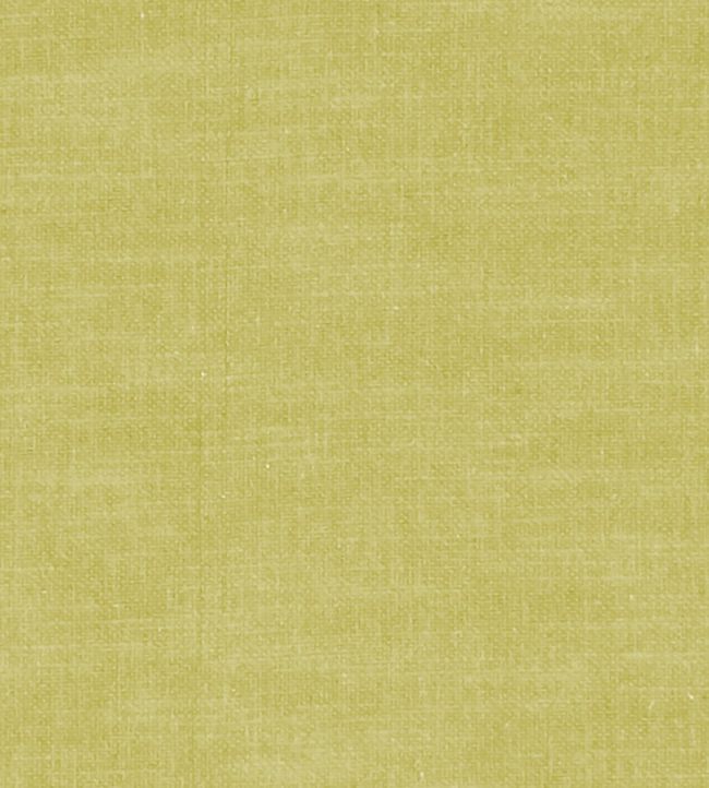 Amalfi Fabric by Clarke & Clarke Citron