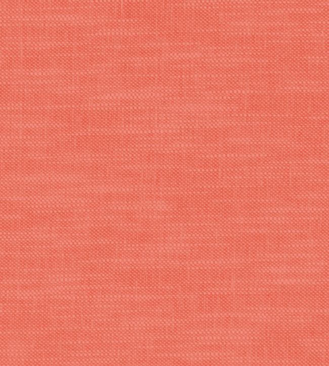 Amalfi Fabric by Clarke & Clarke Coral