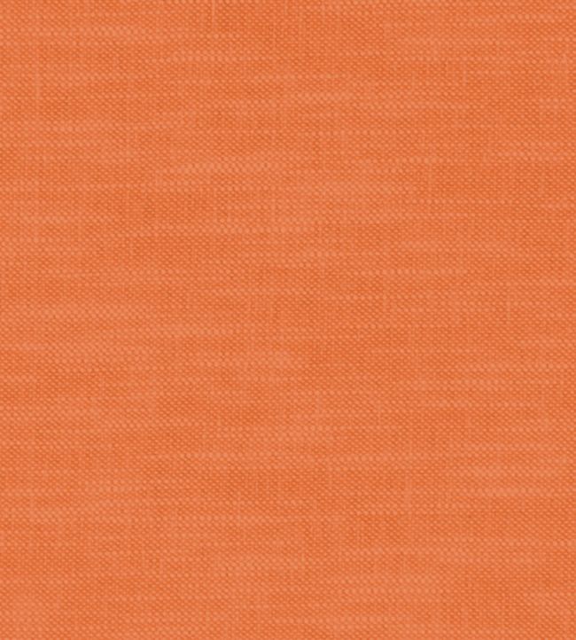 Amalfi Fabric by Clarke & Clarke Flame