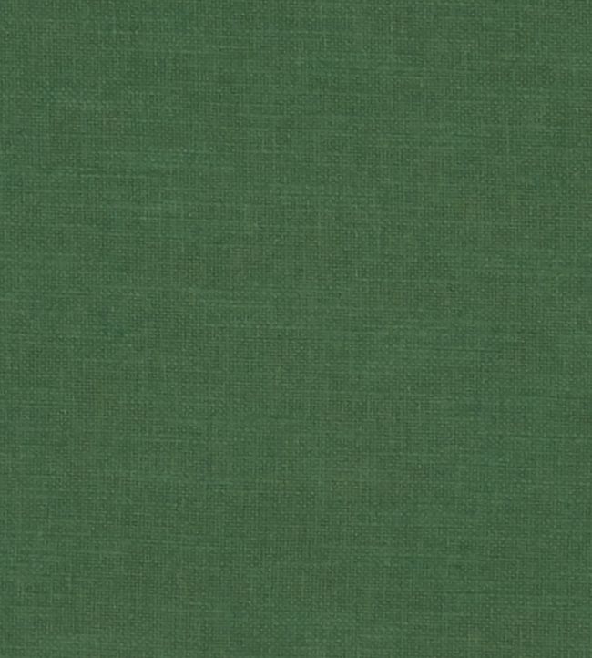 Amalfi Fabric by Clarke & Clarke Forest
