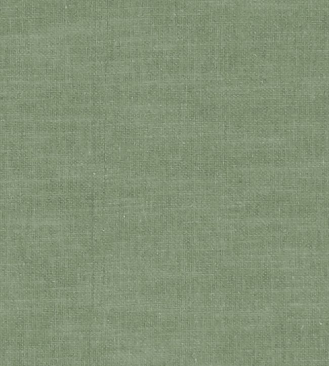Amalfi Fabric by Clarke & Clarke Herb