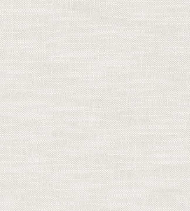 Amalfi Fabric by Clarke & Clarke Ivory