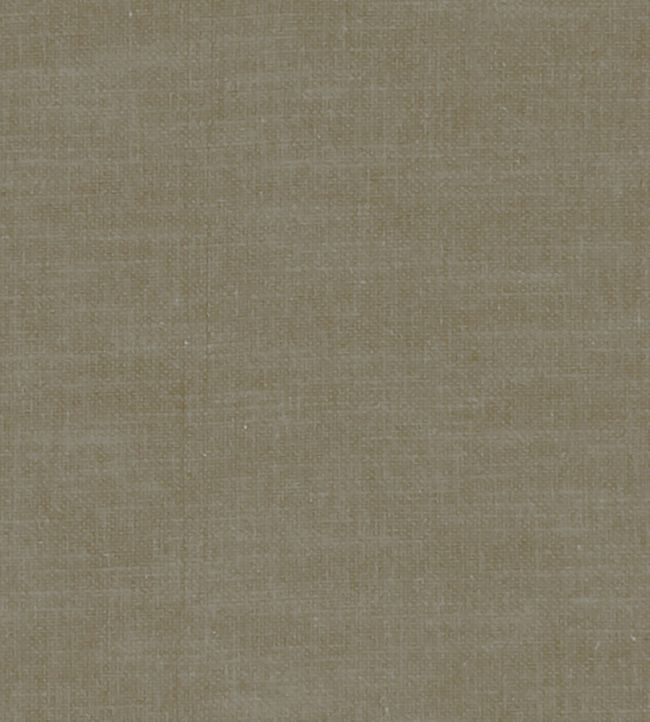 Amalfi Fabric by Clarke & Clarke Mink