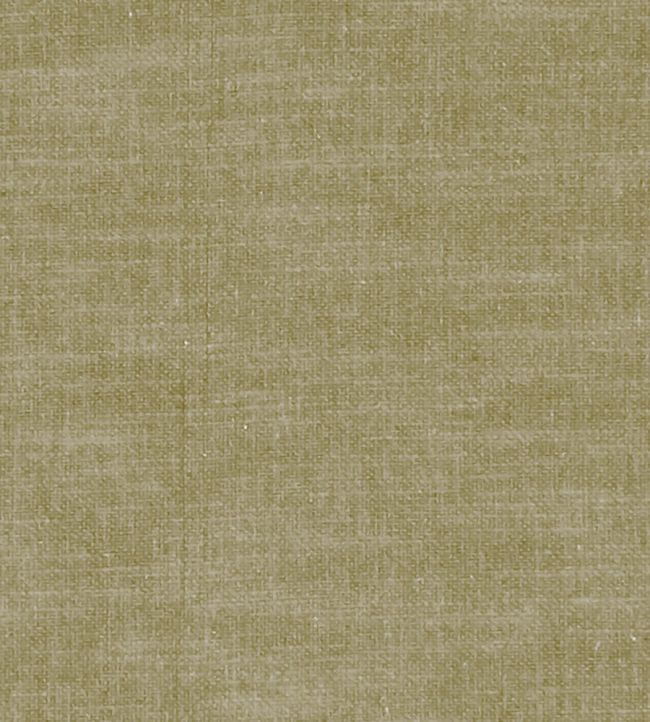Amalfi Fabric by Clarke & Clarke Moss
