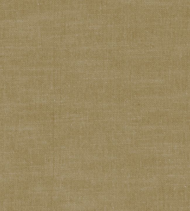 Amalfi Fabric by Clarke & Clarke Olive