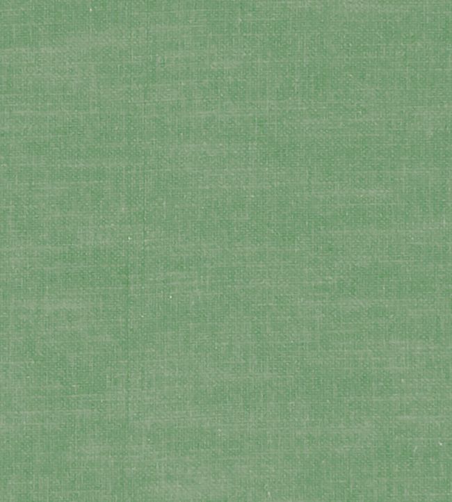 Amalfi Fabric by Clarke & Clarke Palm