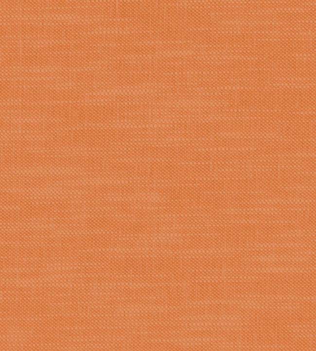 Amalfi Fabric by Clarke & Clarke Pumpkin