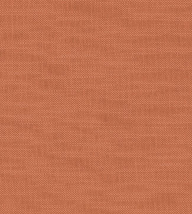 Amalfi Fabric by Clarke & Clarke Spice