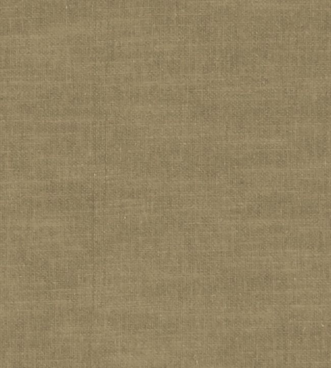 Amalfi Fabric by Clarke & Clarke Truffle