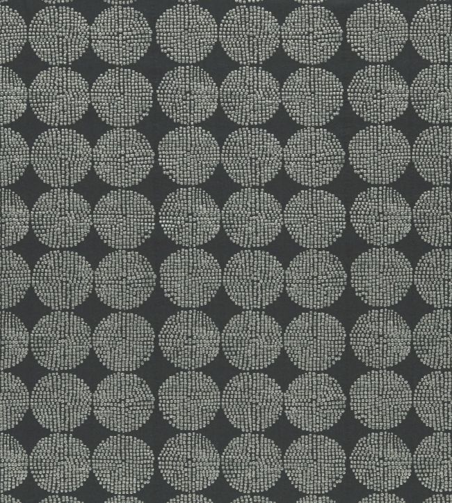 Kiko Fabric by Clarke & Clarke Charcoal
