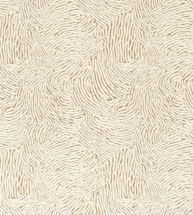 Levante Fabric by Clarke & Clarke Ivory