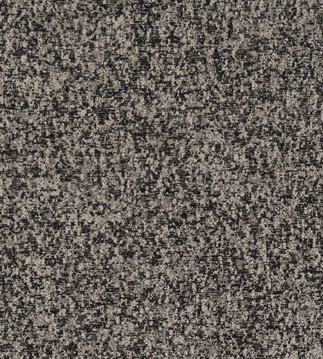 Logan Fabric by Clarke & Clarke Noir