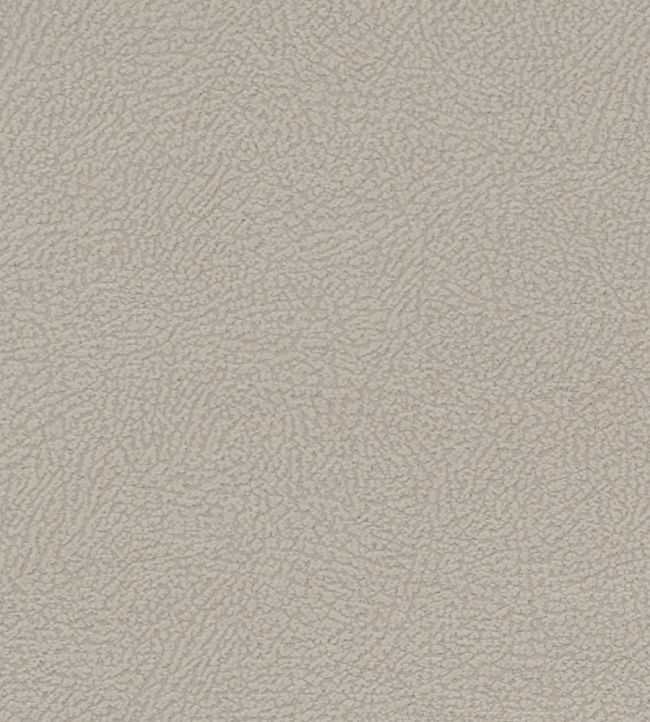 Mason Fabric by Clarke & Clarke Ivory