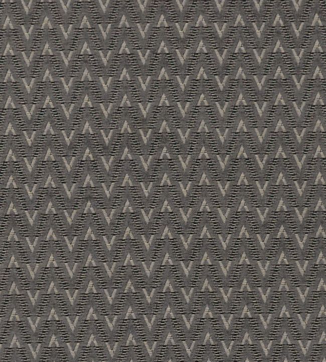 Zion Fabric by Clarke & Clarke Charcoal