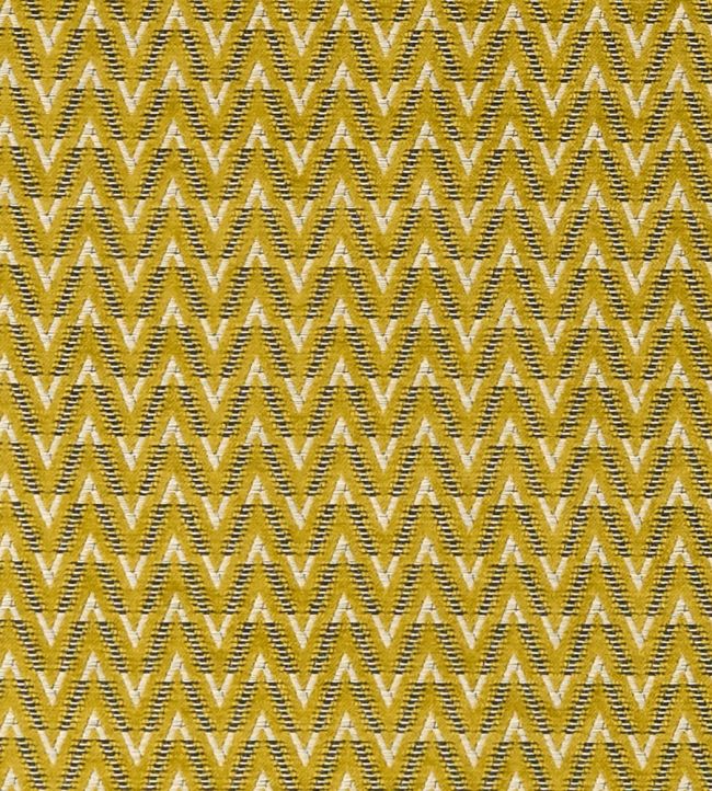 Zion Fabric by Clarke & Clarke Chartreuse