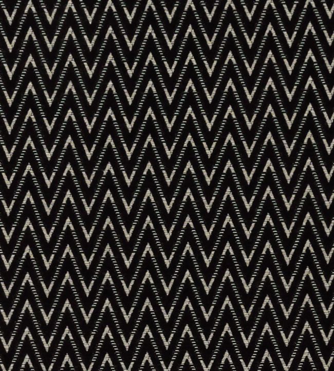Zion Fabric by Clarke & Clarke Noir